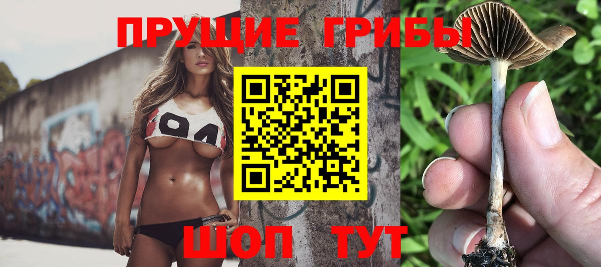Галлюциногенные грибы Cubensis  Галлюциногенные грибы Magic Shrooms  Вход с VPN  Кропоткин 